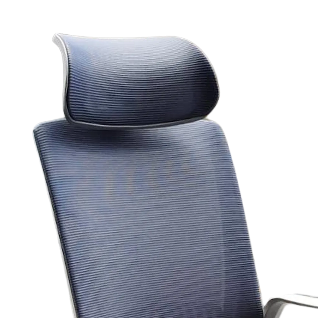 Chein Head Zoom.webp