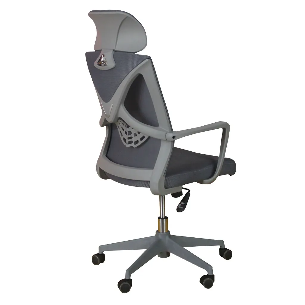 Benj Perspective back.webp