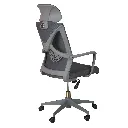 Benj Perspective back.webp