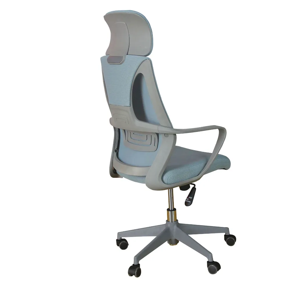 Evo Perspective back.webp