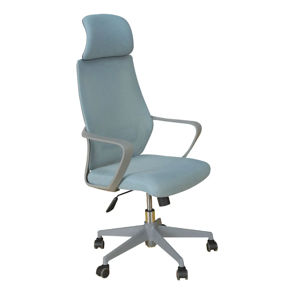 Evo Perspective back wbg.webp