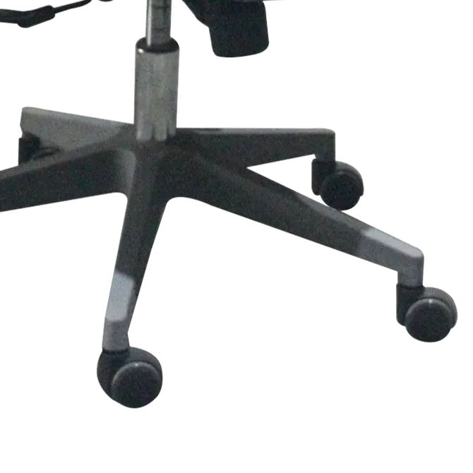 Shiloh front foot.webp