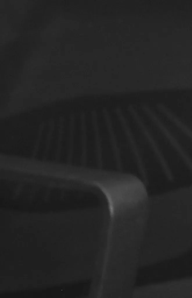 Zoom of the back.webp