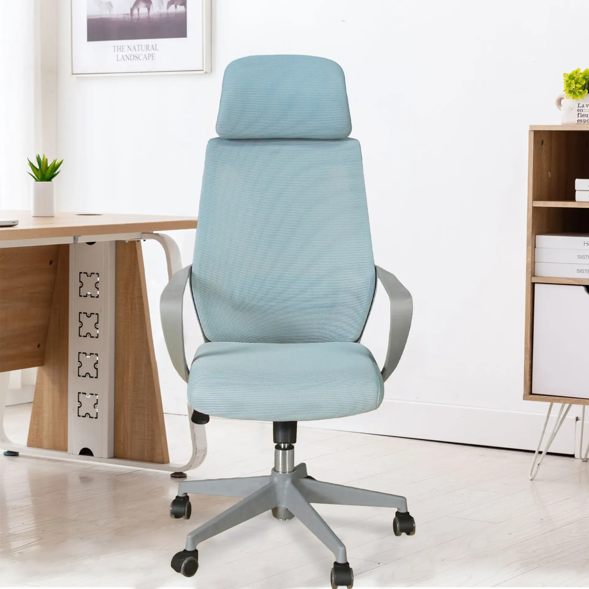 [Office Furniture / Chair] EVO